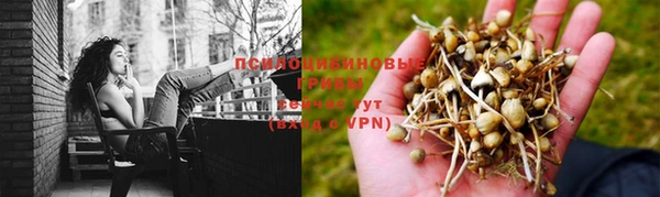 spice Баксан