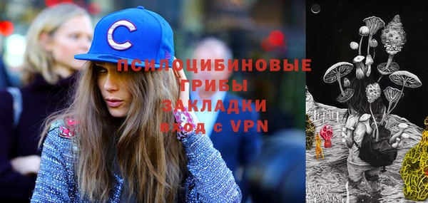 apvp Михайлов