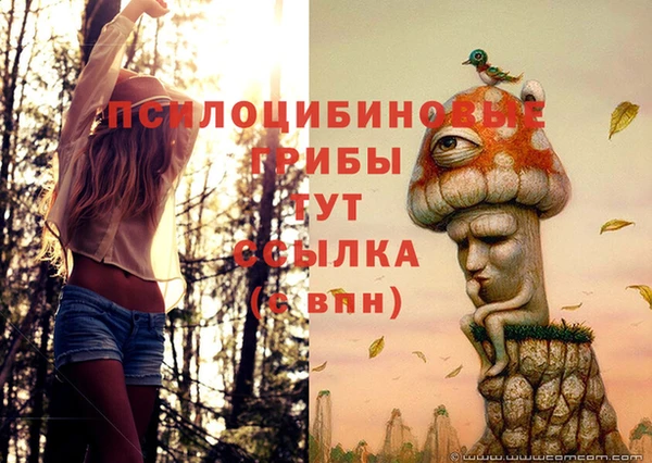 spice Баксан
