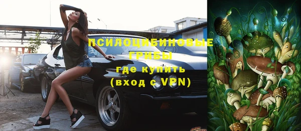 гашик Фурманов
