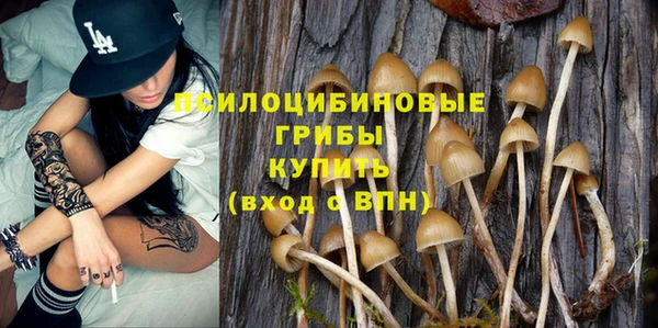 мяу мяу мука Михайловка