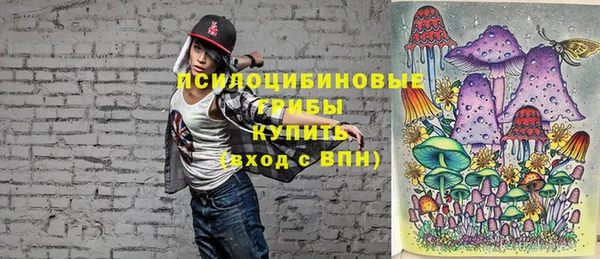эйфоретик Балахна
