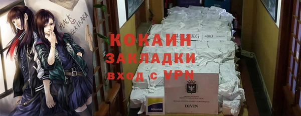 apvp Михайлов
