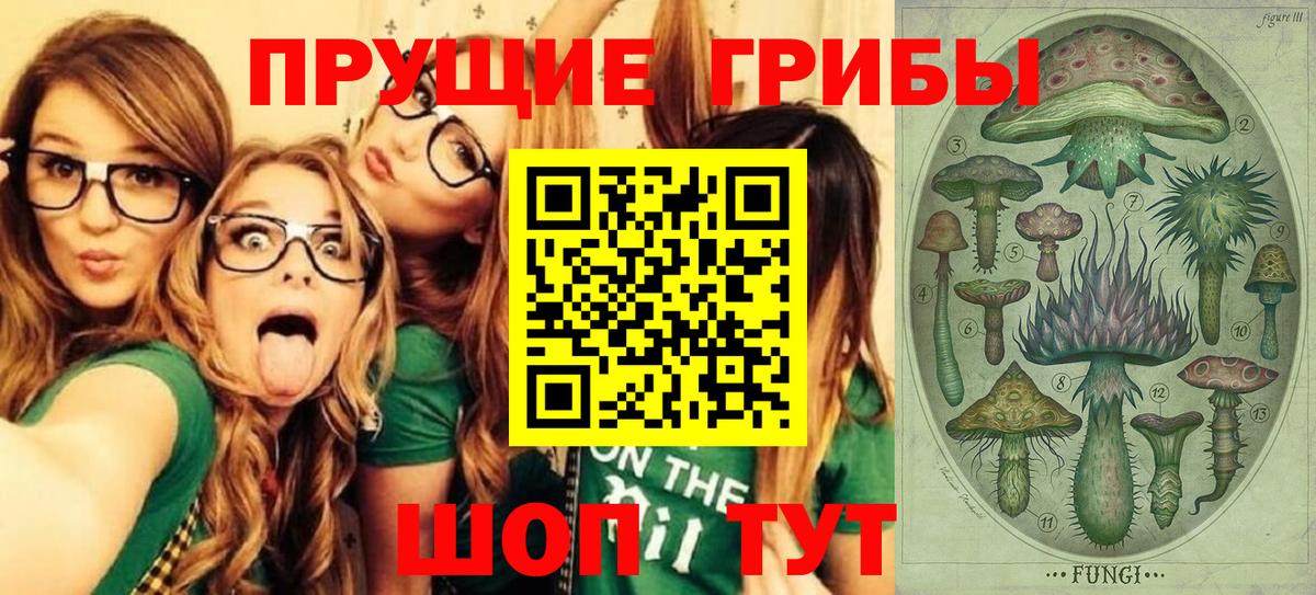 Псилоцибиновые грибы Psilocybine cubensis Воткинск